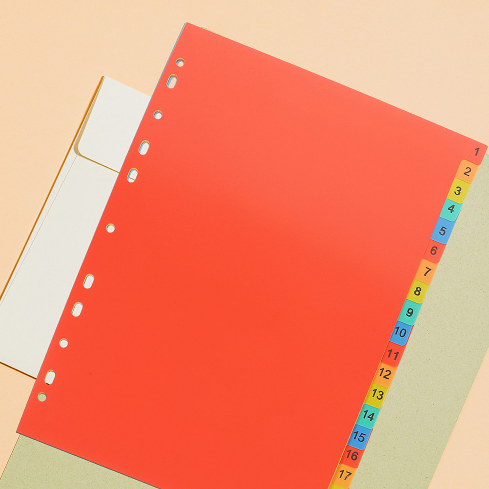 2Sets Plastic Index Dividers L - đánh giá và giá Tab Divider A4