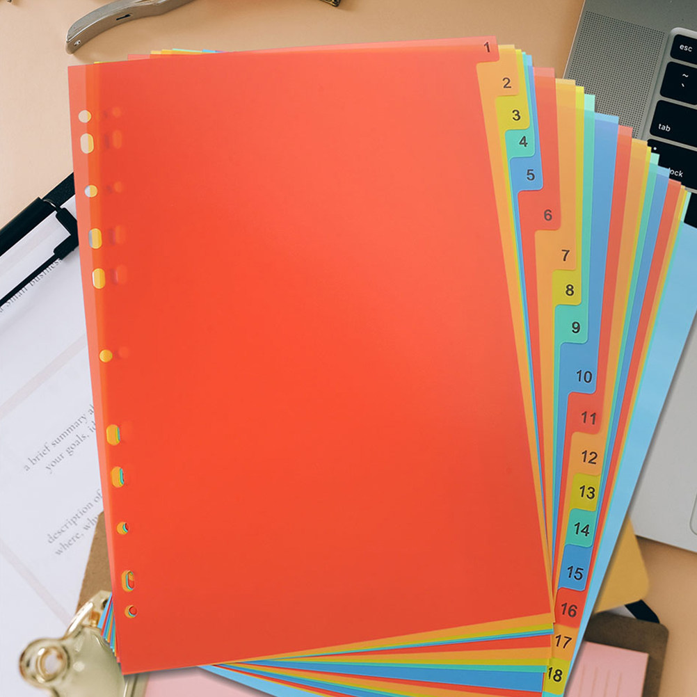 2 sets File Organizer Document - đánh giá và giá Tab Divider A4