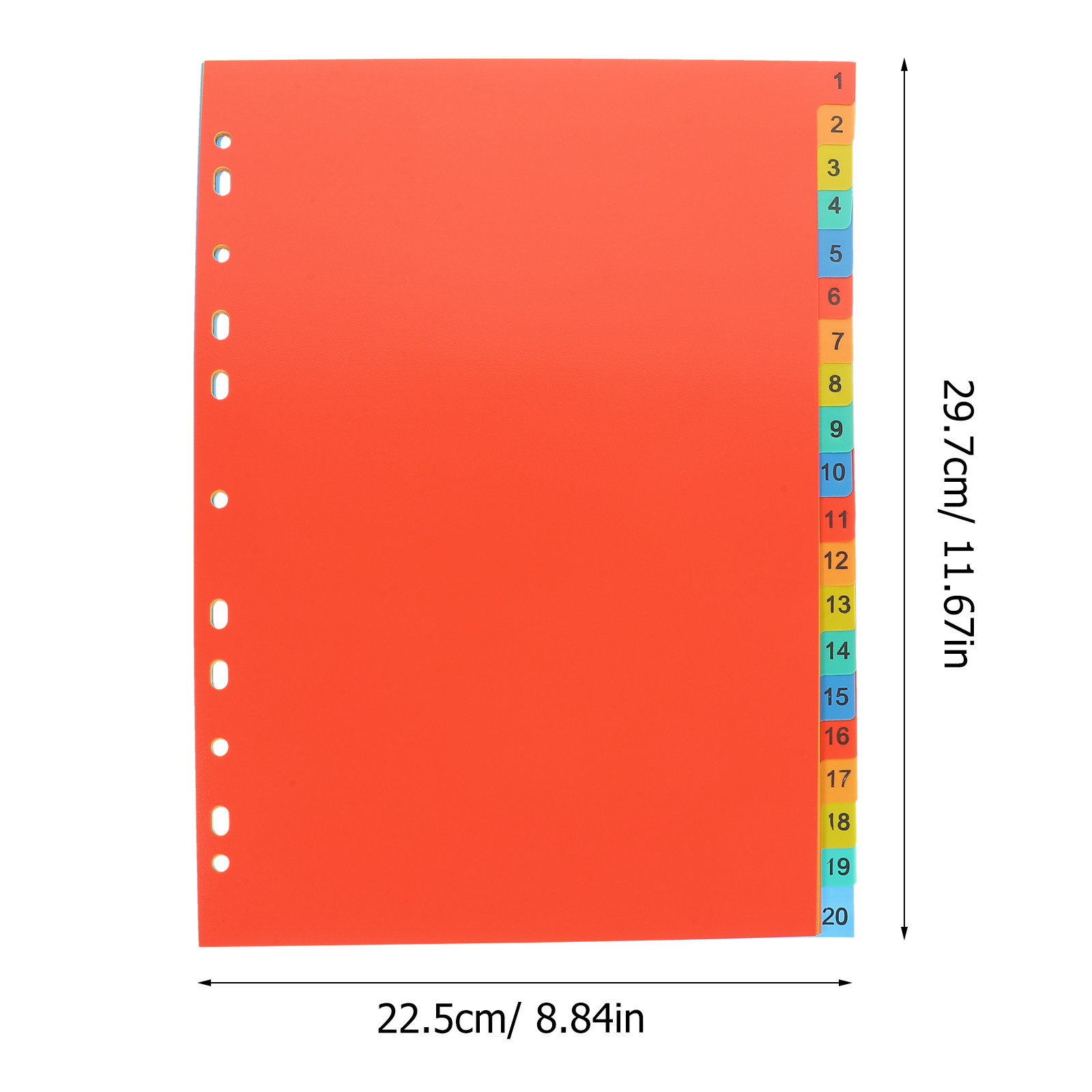 A4 Tabbed Binder Dividers 20 S - đánh giá và giá Tab Divider A4